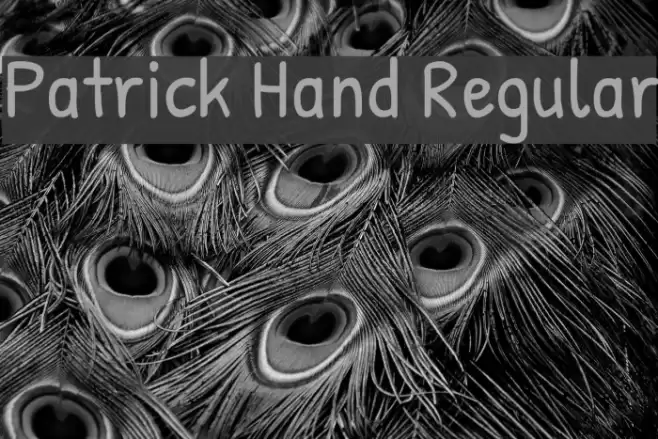 Patrick Hand Regular Font examples