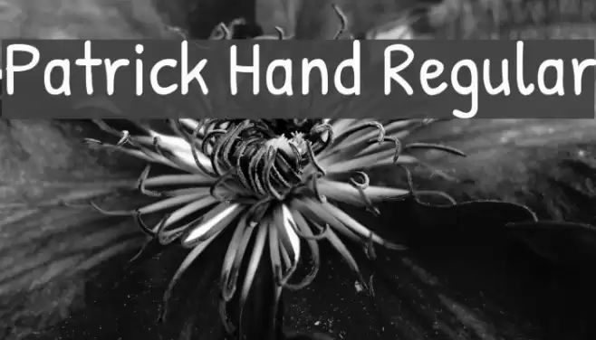 Patrick Hand Regular Font examples