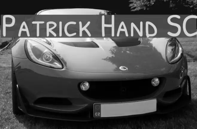 Patrick Hand SC Font examples