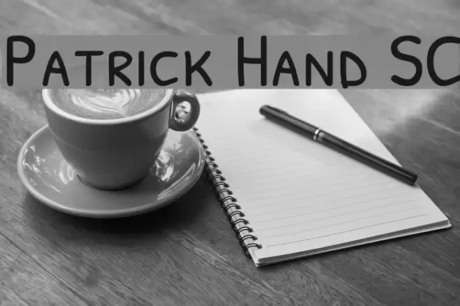 Patrick Hand SC Font examples