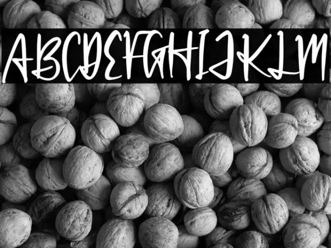 Patrick Hinton Font examples