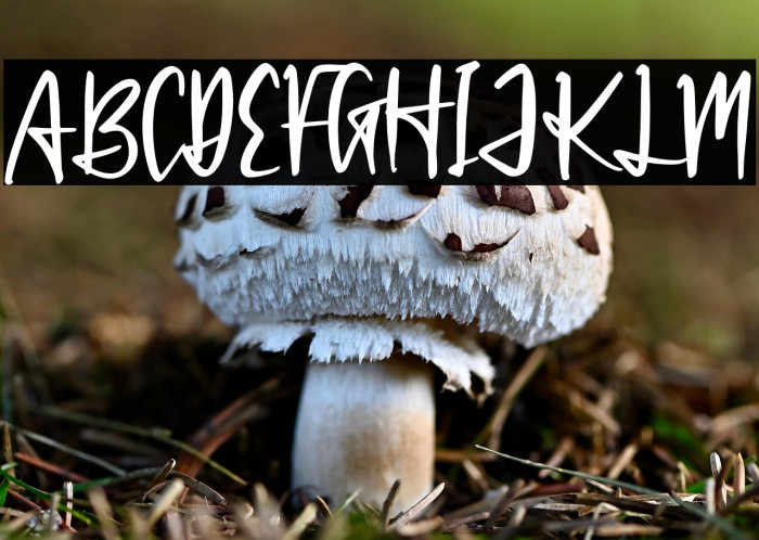 Patrick Hinton Example 2