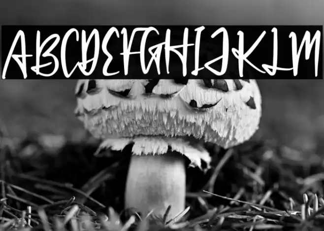 Patrick Hinton Font examples