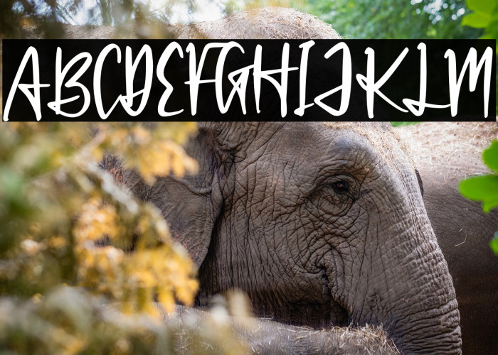 Patrick Hinton Example 3