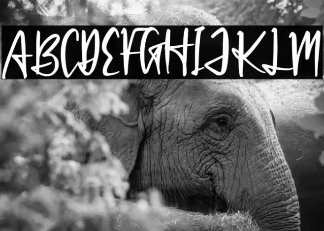 Patrick Hinton Font examples