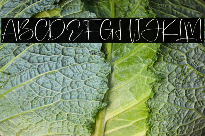 Patrick Rastelo Example 1