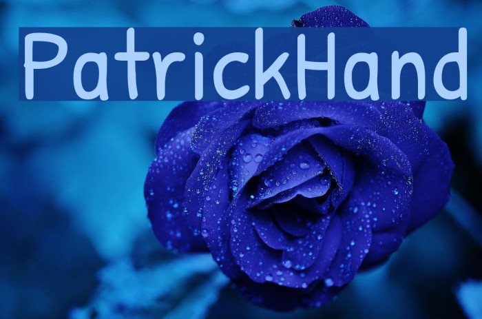 PatrickHand Font examples