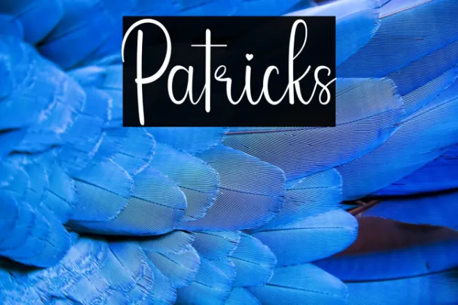 Patricks Example 2