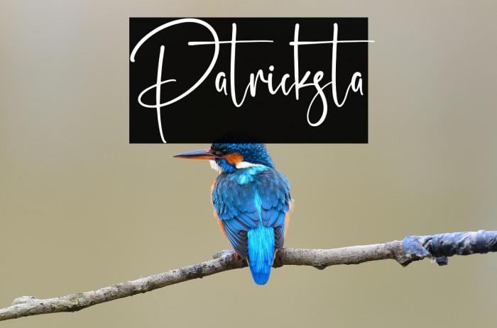 Patricksta Example 2