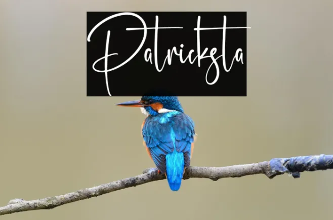 Patricksta Example 2