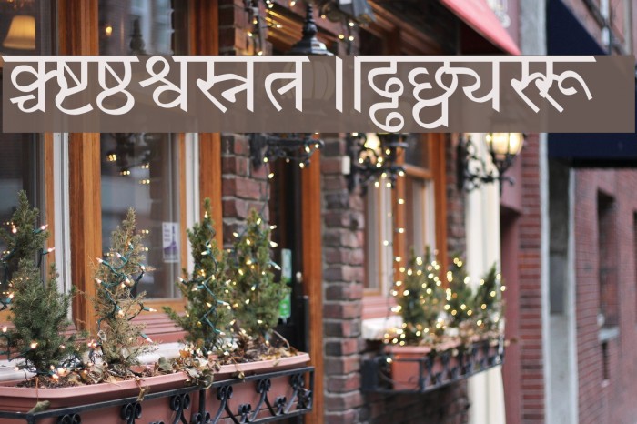 Patrika フォント examples