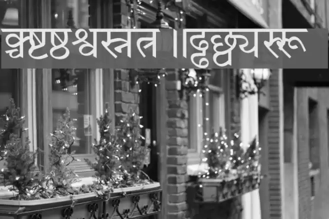 Patrika フォント examples