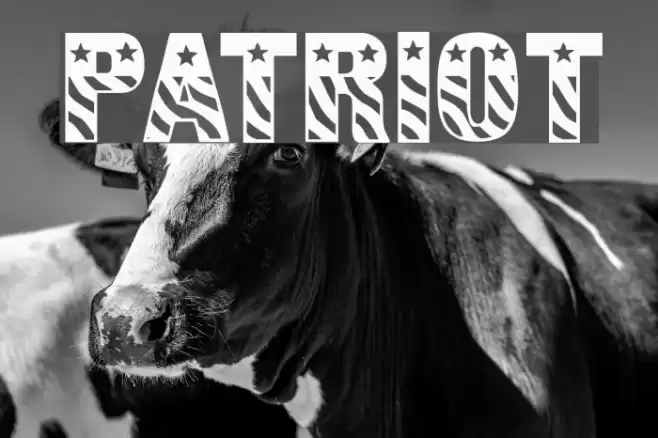 Patriot Font examples