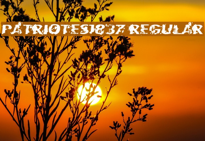 Patriotes1837 Regular Example 2