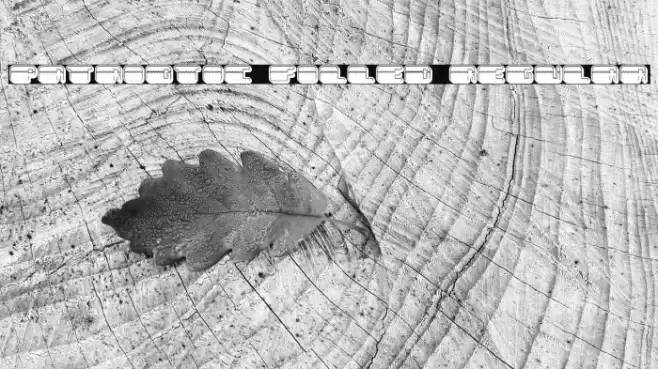 Patriotic Filled Regular Font examples