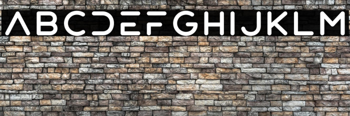 Patron - Personal Use Regular Example 3