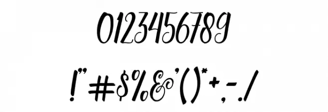 Patronia Script Font OTHER CHARS