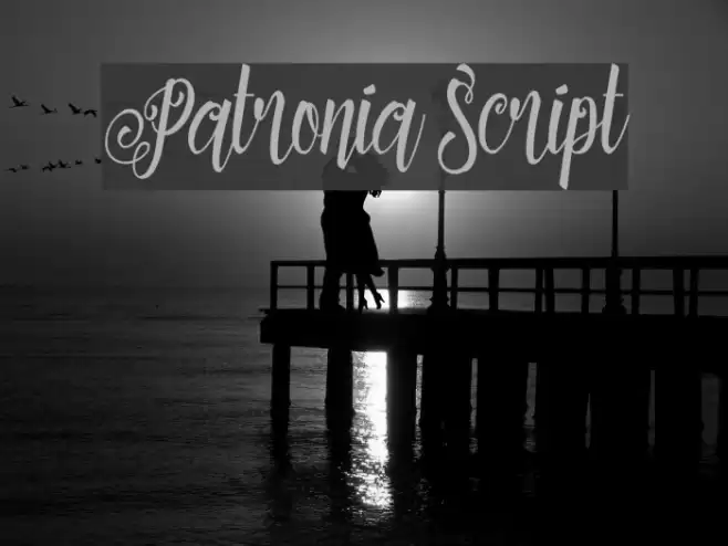 Patronia Script Font examples