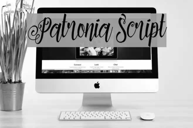 Patronia Script Font examples