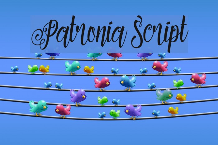 Patronia Script Example 3