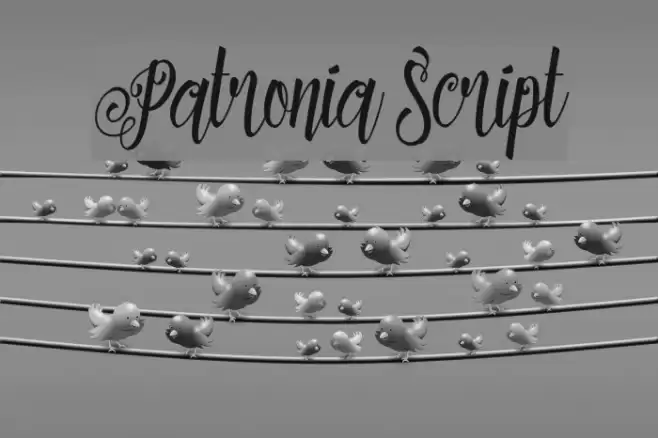 Patronia Script Font examples