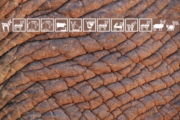 PatternaliaMK Example 2