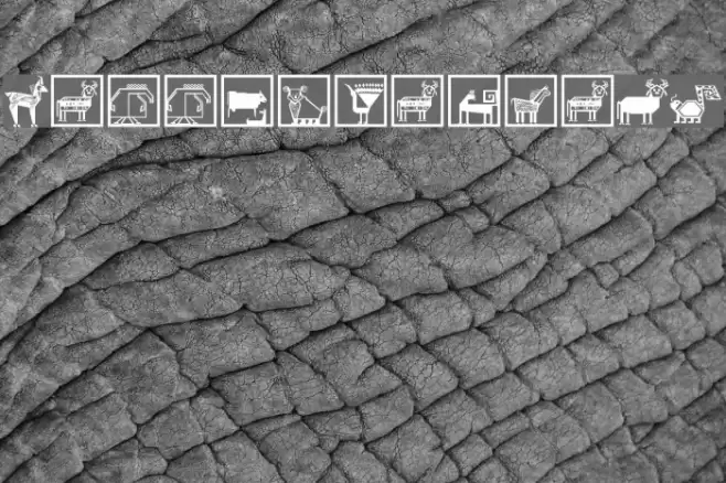 PatternaliaMK Font examples