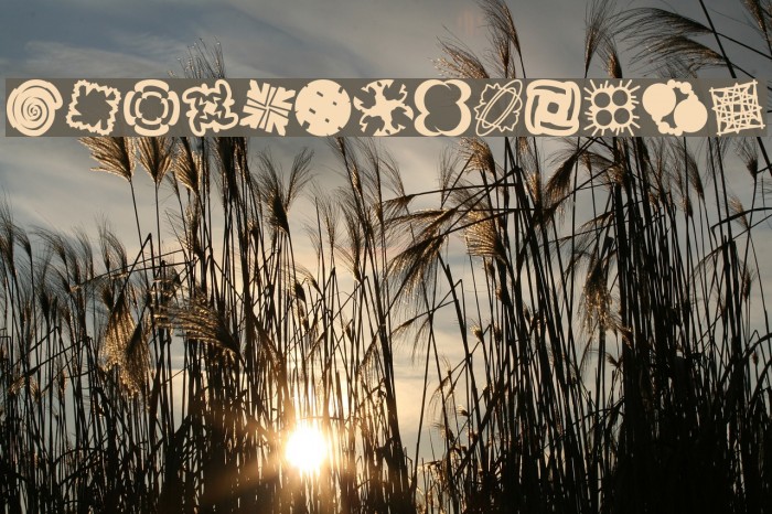 Patternalia Example 2