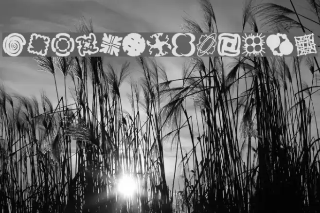 Patternalia Font examples