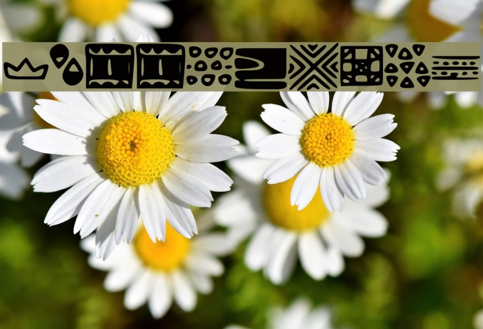 Patternify Font examples