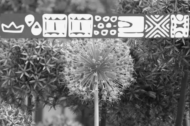 Patterns Font examples