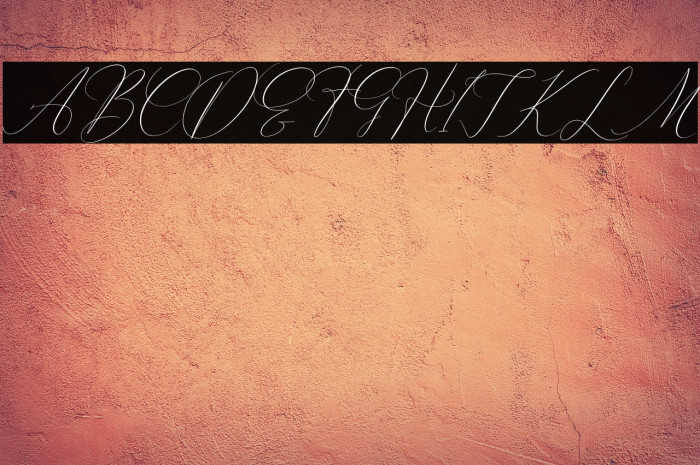 Pattricia Michella Italic Example 1