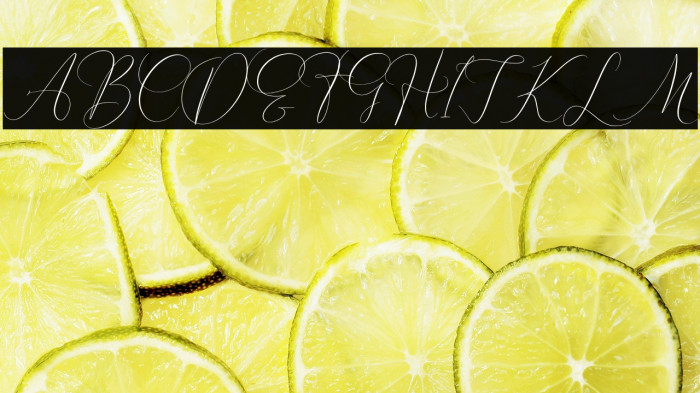 Pattricia Michella Example 3