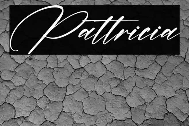 Pattricia Font examples