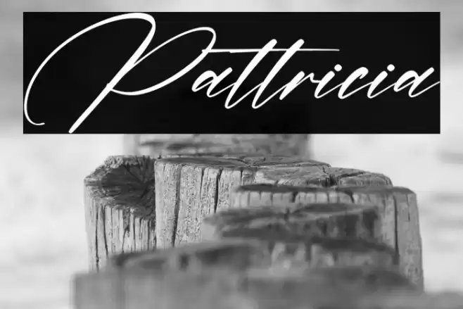 Pattricia Font examples