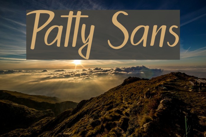 Patty Sans Example 1