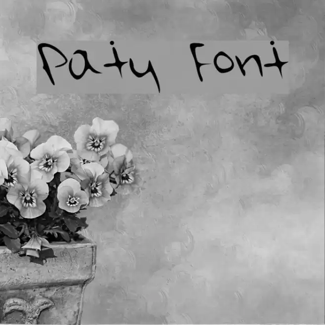 Paty Font examples