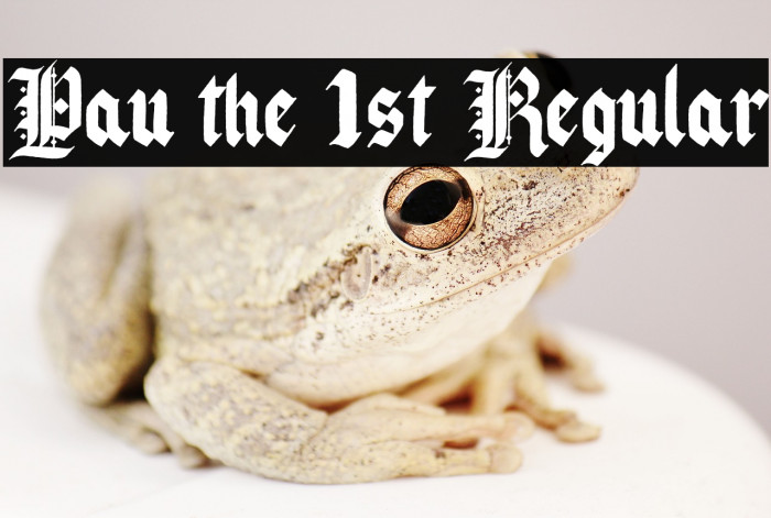 Pau the 1st Regular Example 3