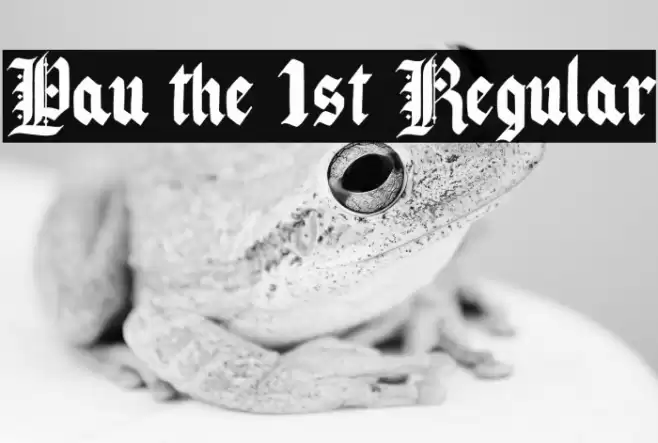 Pau the 1st Regular Font examples