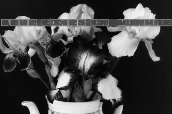 Paul BOXES Cyr  Normal Font examples