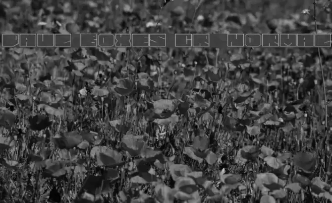 Paul BOXES Cyr  Normal Font examples