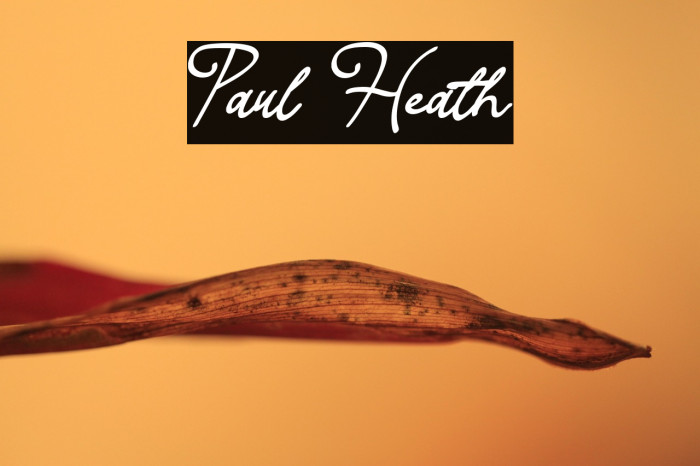 Paul Heath Example 1