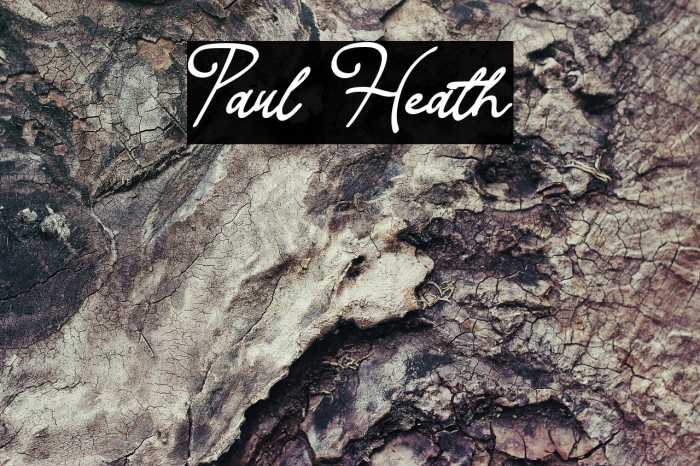 Paul Heath Example 3