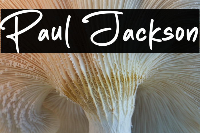 Paul Jackson Example 2