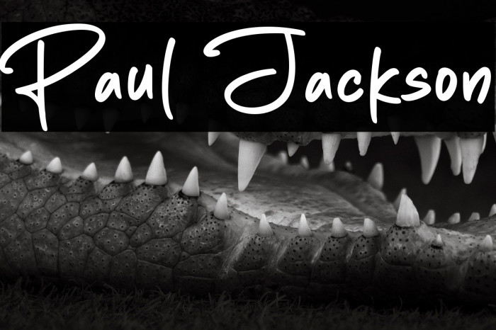 Paul Jackson Example 3