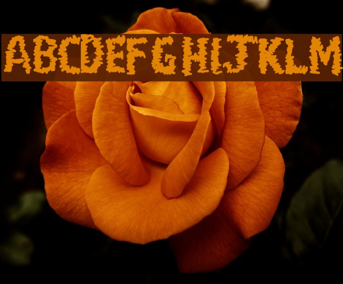 Paul Loving Example 3