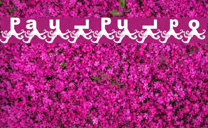 Paul Pulpo Font examples