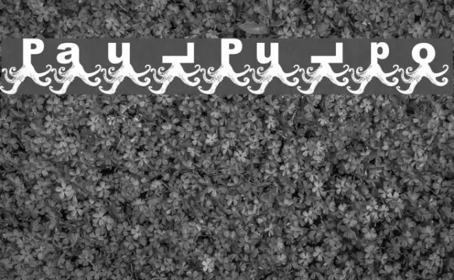 Paul Pulpo Fonte examples