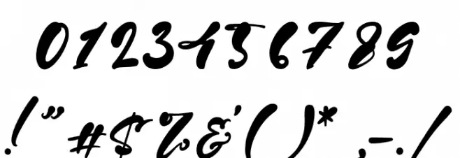 PaulNora Font OTHER CHARS