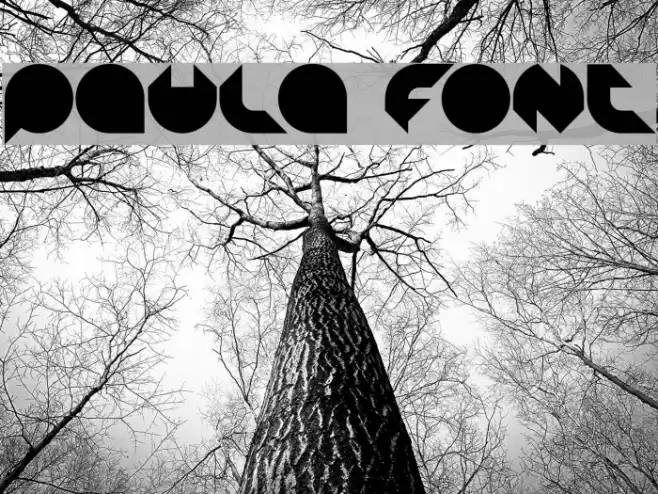 Paula Font examples